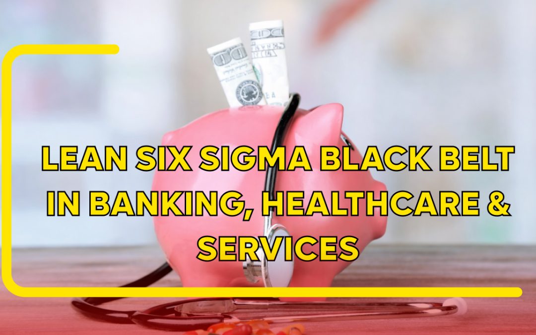 Lean Six Sigma Black Belt in Banking, Healthcare & Services: Transforming Non-Manufacturing Industries