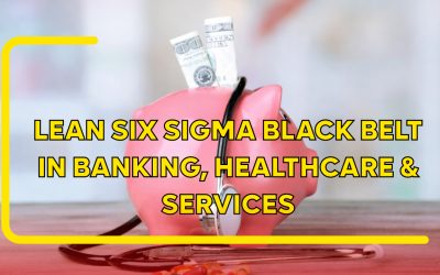 Lean Six Sigma Black Belt in Banking, Healthcare & Services: Transforming Non-Manufacturing Industries