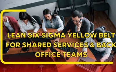 Articles 13 Lean Six Sigma Yellow Belt for Shared Services and Back Office Teams