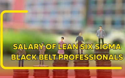 Salary of Lean Six Sigma Black Belt Professionals