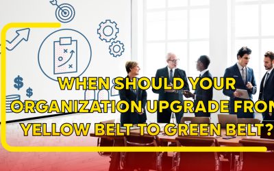 Articles 8 When Should Your Organisation Upgrade from Yellow Belt to Green Belt?